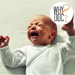Pleurs du nourrisson – WhyDoc