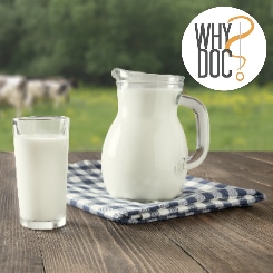 Allergie aux Protéines de Lait de Vache – WhyDoc