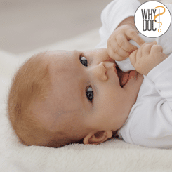 Comment coucher les bébés ? – WhyDoc