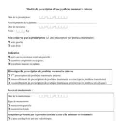 Prothèse mammaire externe
