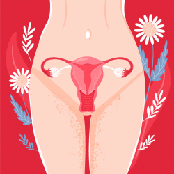 Vulvovaginite de la femme