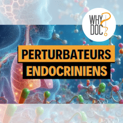 Perturbateurs endocriniens